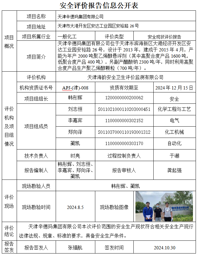 天津辛德玛集团有限公司安全现状评价